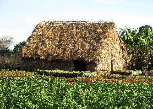 Casa Magaly y Manolo Viñales 2