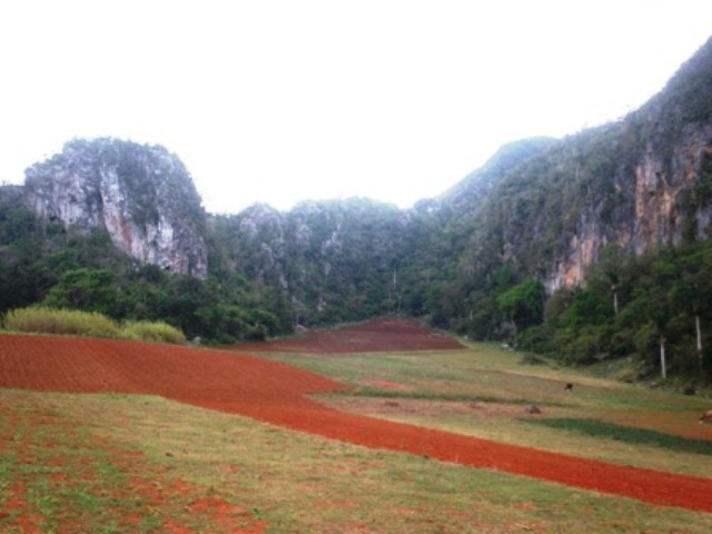 Villa María Luisa Viñales 5