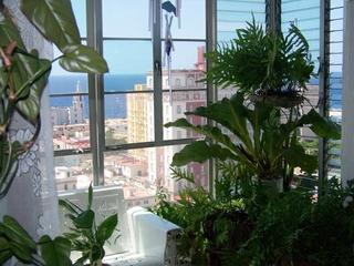 Apartamento Lupe Vedado 1