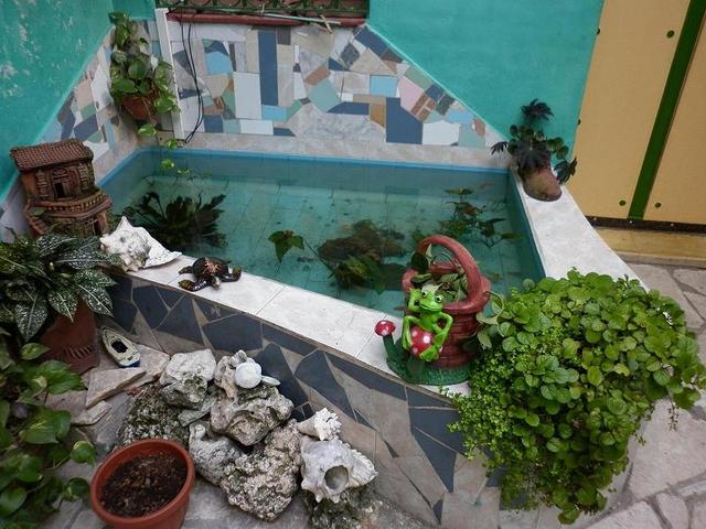 Hostal Los Vitrales Camagüey 4