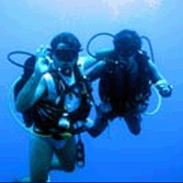 suite-cuba-diver